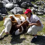 Skihuette Silberleiten, 8 Personen Криммл